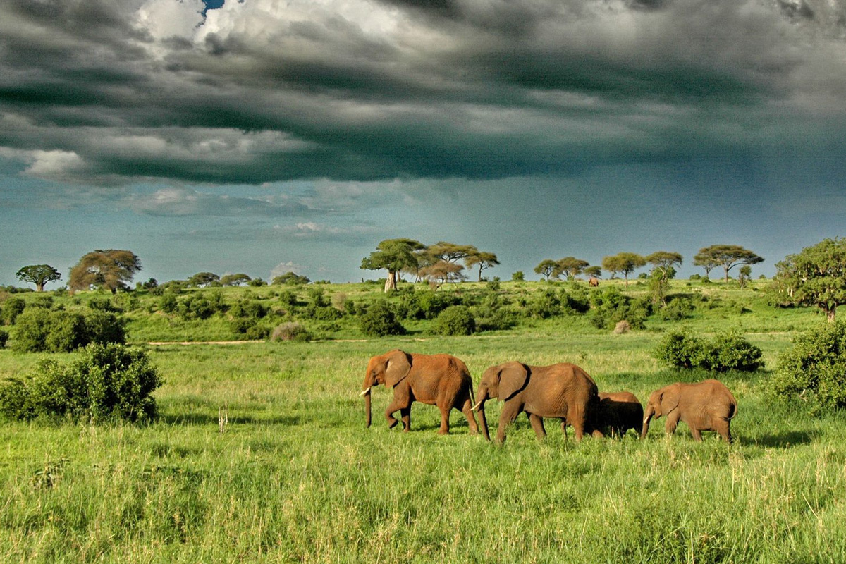 Tanzania during April